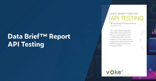 Title of report, Data Brief(TM) Report API Testing and small representation of report cover.
